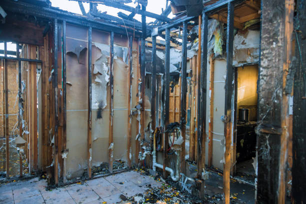Professional Fire Damage Removal technician working in Maryland, MD